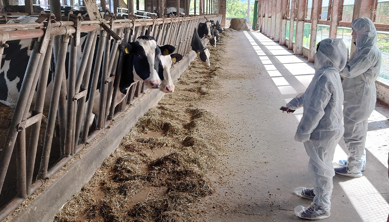 削蹄作業現場視察