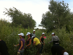 画像：【スペイン】自然公園の保護地域の保全活動に社員が参加