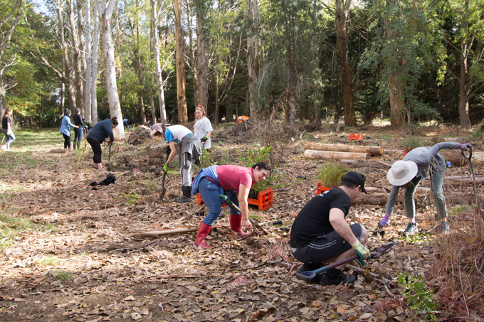 Ricoh NZは、お客様であるキッズファースト幼稚園と一緒に植林活動を実施。