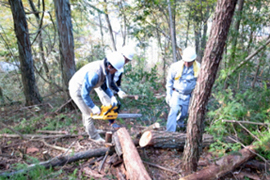 画像:森林整備ボランティアの様子1