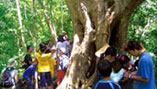画像:子供たちを対象にした自然教室の様子