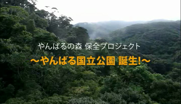 沖縄やんばる森林保全 プロジェクト紹介動画