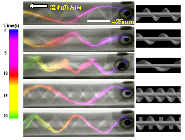 図２：エックス線可視化による様々なスクリューの現像剤流れの構造