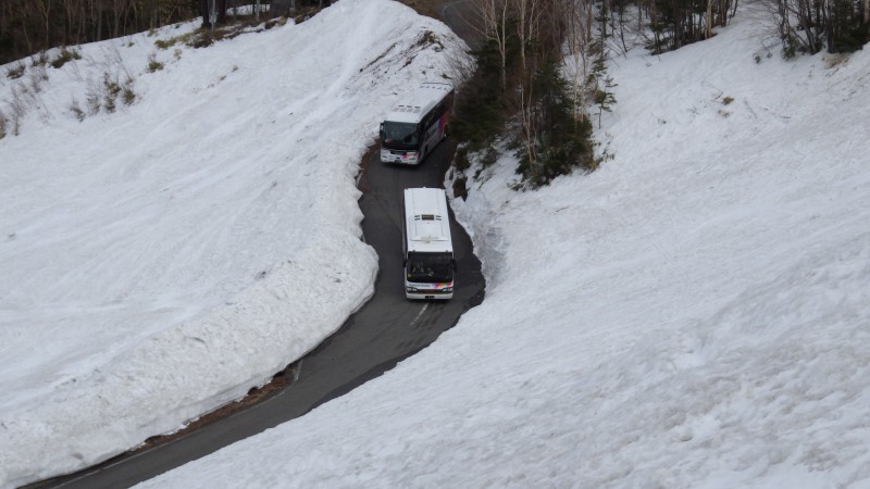 春山バスをやり過ごす