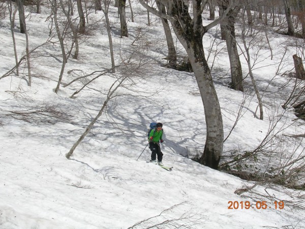 リフト乗場裏の林を抜ける
