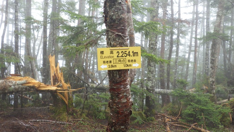 岩稜手前のピーク