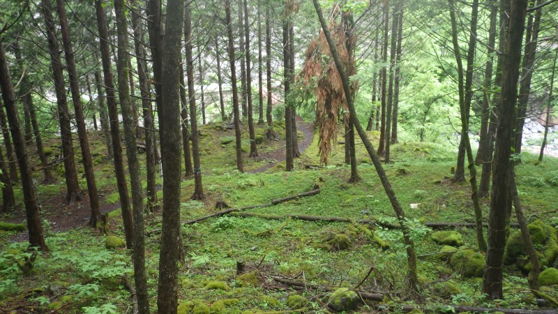 易老渡が見えて来る