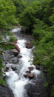 水量が変わった?