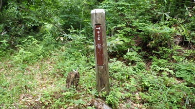 山頂まで10km