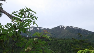 台倉山から平ケ岳を望む