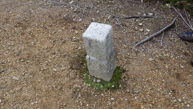 台倉山の三角点