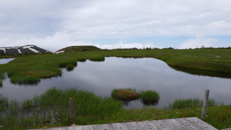 姫ノ池さようなら