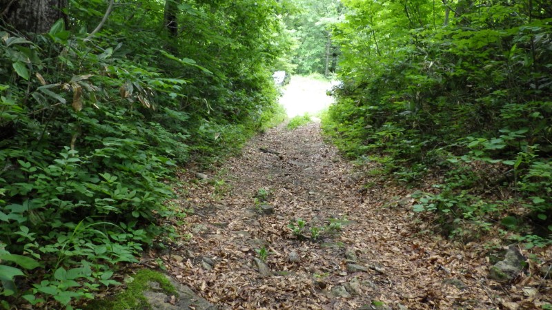 ゴールが見えて来る