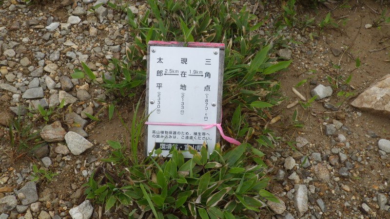 標識に励まされ