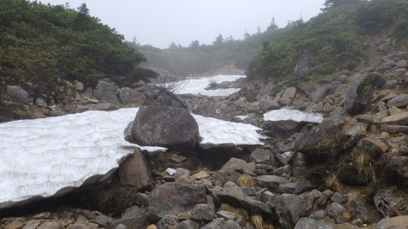 薬師平手前の雪渓