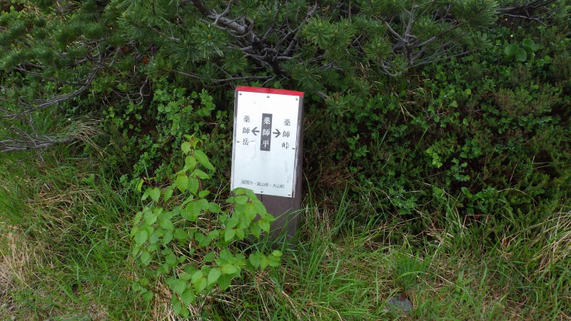 薬師平の標識で現在地を確認