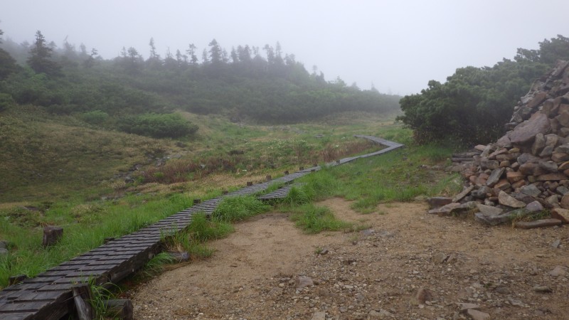薬師平で一本たてる