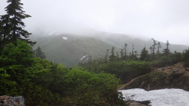 薬師平から下り始める