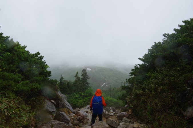 沢の上部を下る