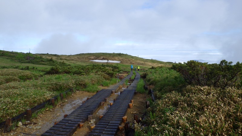 下りの木道は楽しい