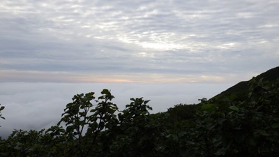 見渡せば雲の上