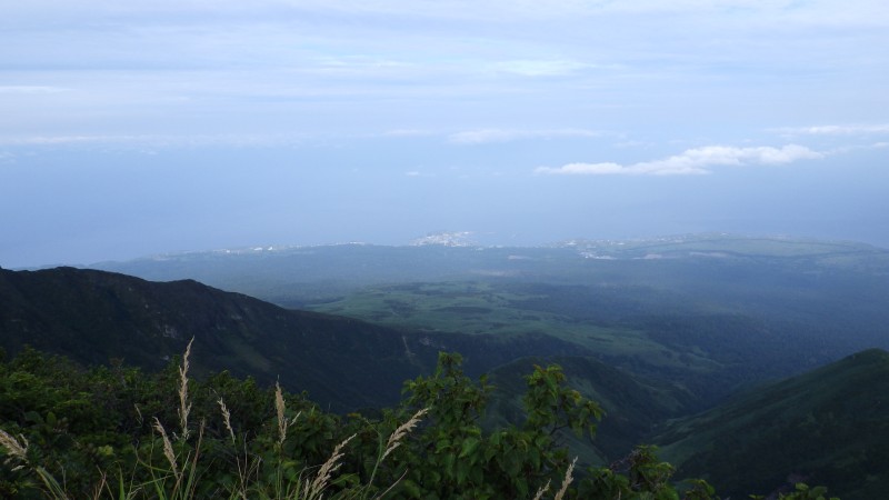 礼文写っているかな？