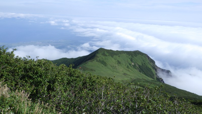 登って来たところを振り返る