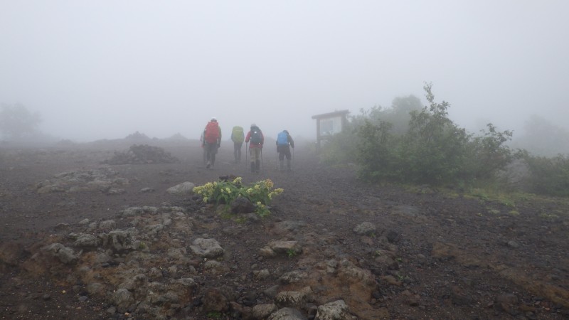 比較的平坦な登山道から始まる