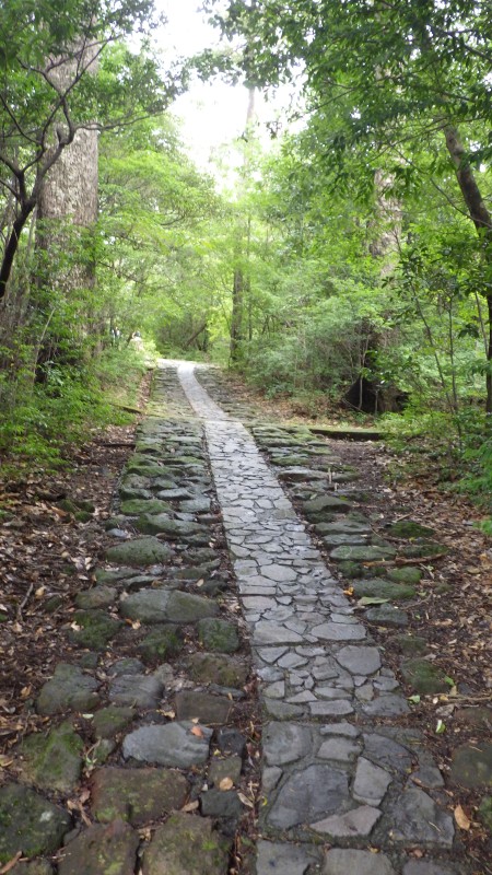 整備されているが濡れていて滑りそう