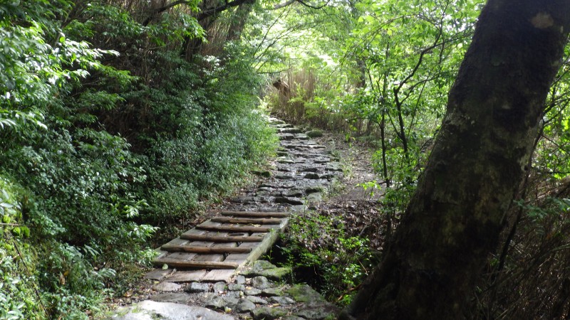 大浪池までの登山道