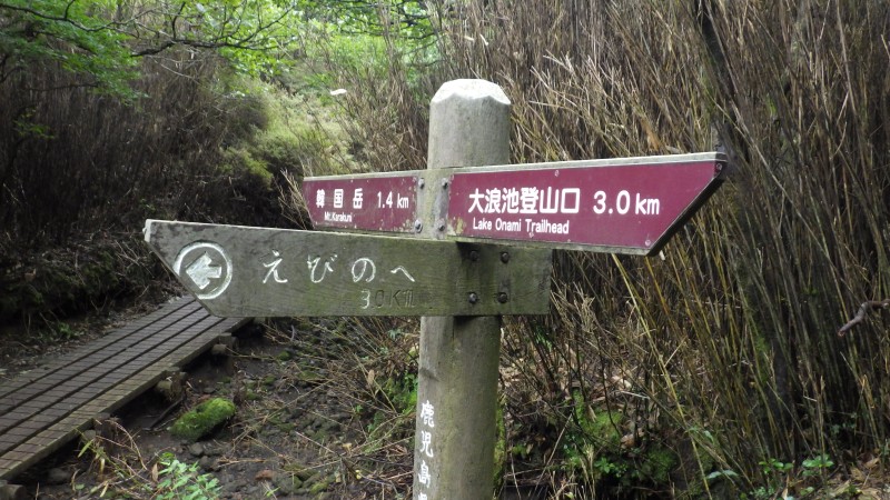 えびの高原の道と合流