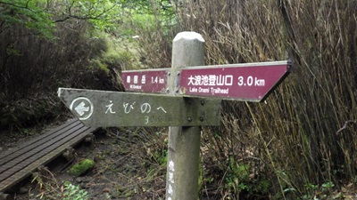 えびの高原の道と合流