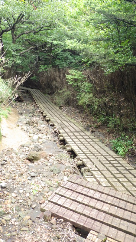 木道が整備されている