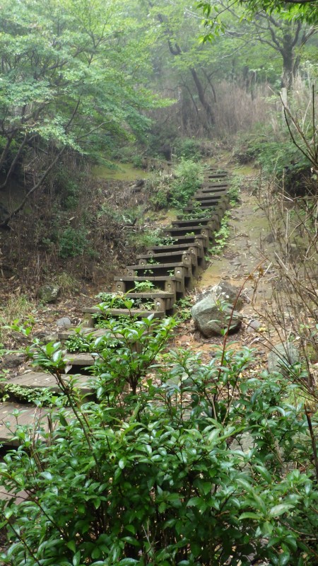 山頂へは階段を登って行く