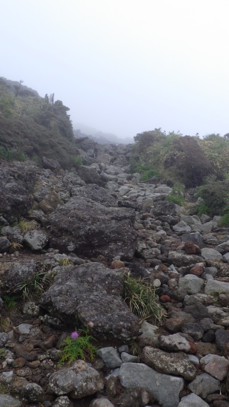 上部は溶岩の道を進む