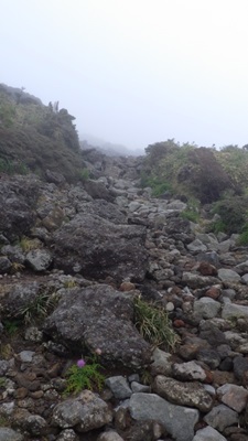 上部は溶岩の道を進む