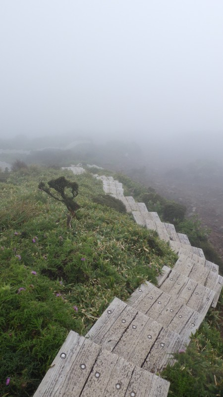 階段をトコトコ下る