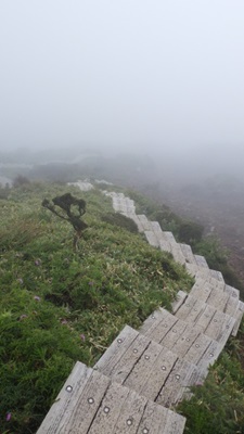 階段をトコトコ下る