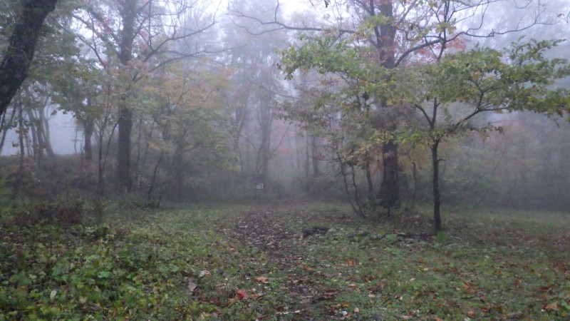 今一つ不明瞭なルートを進む