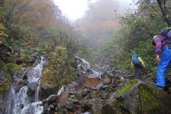 沢沿いを登る