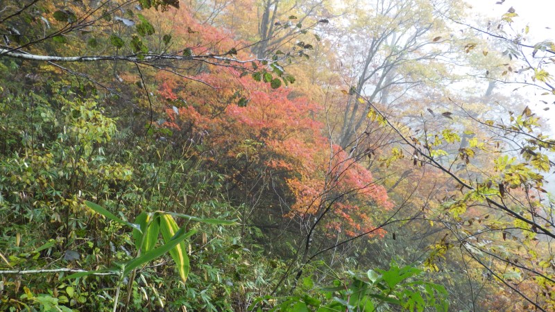 紅葉も綺麗に見えだす