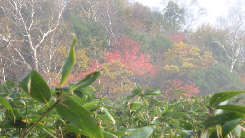 一不動からの紅葉