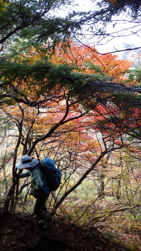 二釈迦への登り