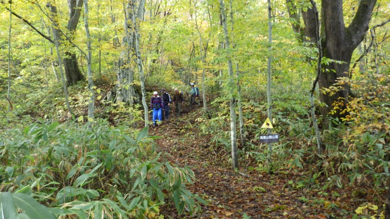 皆さん下って来る