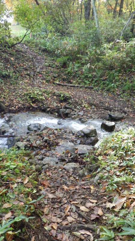 この沢で泥を落としてスッキリ