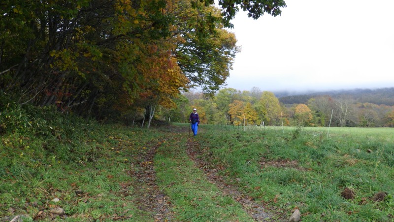 牧場脇を進む