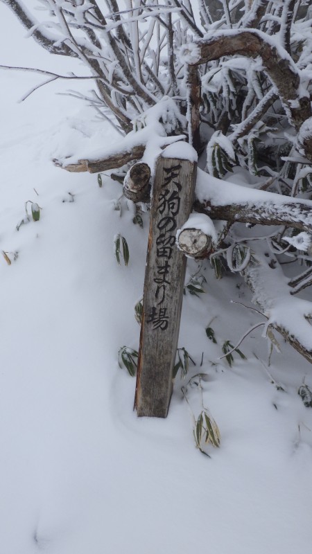 天狗の留まり場