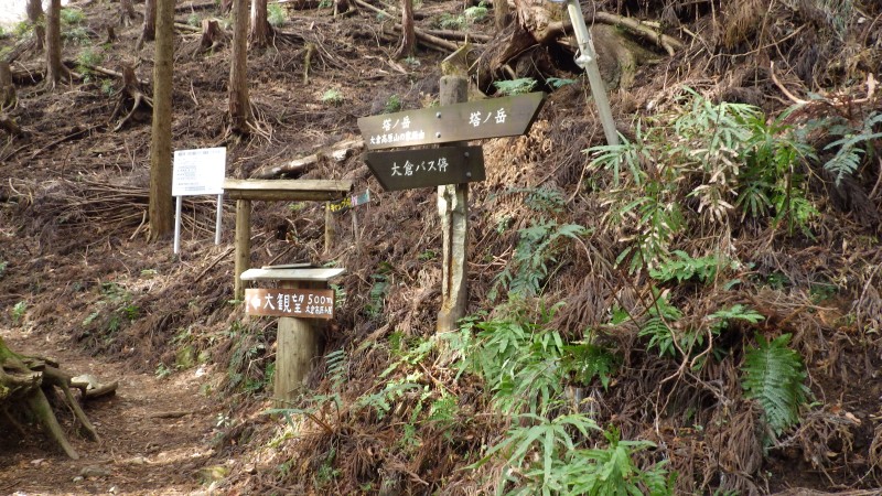 展望台との分岐