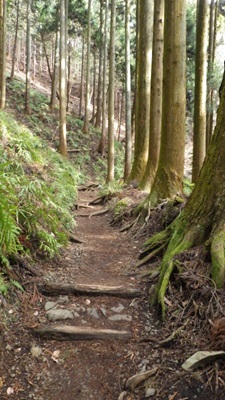 静かな山道を登る