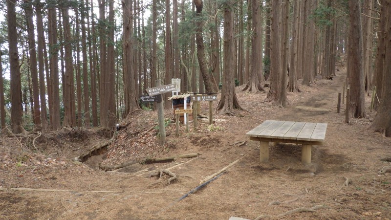 展望台ルートと合流